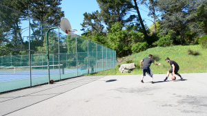 basket1